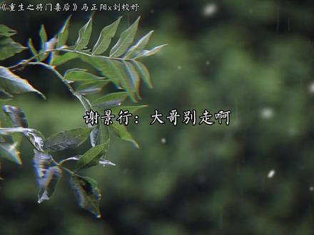 大哥别走啊~
#重生之将门毒后 #广播剧 #马正阳 #赵成晨
