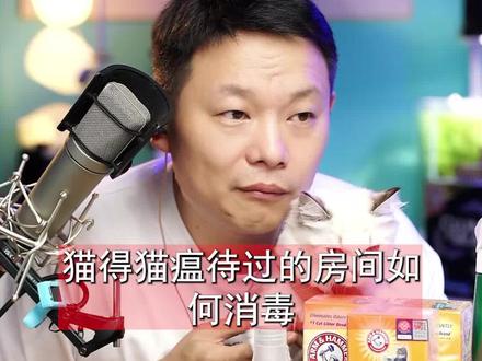 猫瘟猫咪待过的房间怎么消毒?#猫瘟 #猫瘟病毒 #猫咪消毒 #猫瘟消毒 #宠物消毒 #紫外灯消毒 #科学养宠攻略 #主播说一说 #知识科普