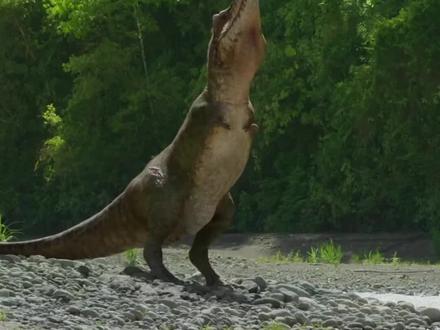 霸王龙短小的前肢有什么用 #恐龙 #万万想不到 #搞笑 #反转