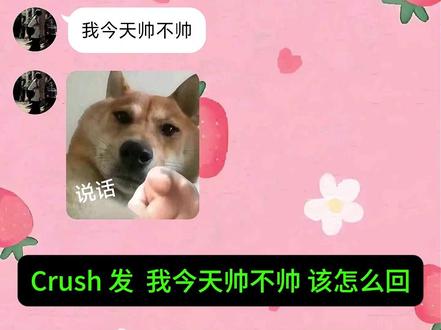 Crush 发 我今天帅不帅 该怎么回复? 救命!谁家crush这么有梗?!#crush #crush聊天记录 #高情商说话技巧 #恋爱技巧