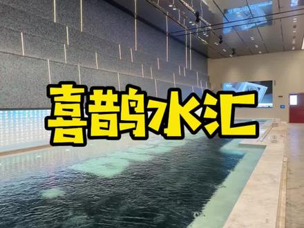 沈阳的大洗浴还是太全面了,里面居然有企鹅 #看东北超洗东北澡 #跟着东北超游东北 #心动沈阳 @喜鹊水汇官方号 #喜鹊水汇