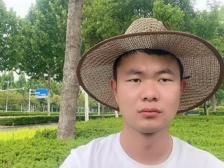 侧柏发黄啥情况 #园林养护 #园林绿化工程苗木人 #园林机械 #绿化工程 #市政园林