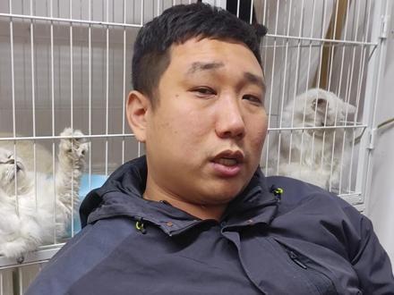 猫咪如何预防得猫瘟,给大家一些小建议#猫咪 #猫瘟 #新手养猫 #科学养宠攻略