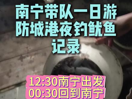 什么?!从南宁去防城港夜钓鱿鱼,居然半天就能玩完了!
#夜钓鱿鱼 #怪石滩 #鱿鱼季 #海钓 #南宁出发