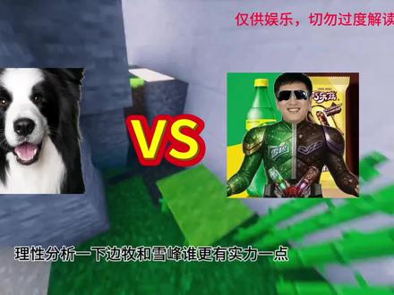 #张雪峰 #巧乐兹 #雪碧 理性分析边牧和张乐兹先生谁强谁弱