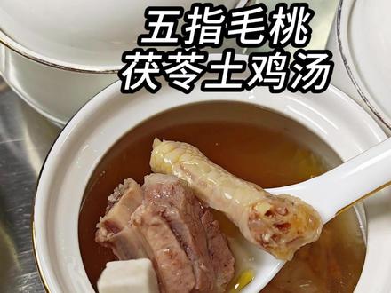 五指毛桃茯苓土鸡汤 山野本味,食补靓汤!#鸡汤 #家常菜 #抖音美食创作人 #创作者中心 #上热门抖音小助手