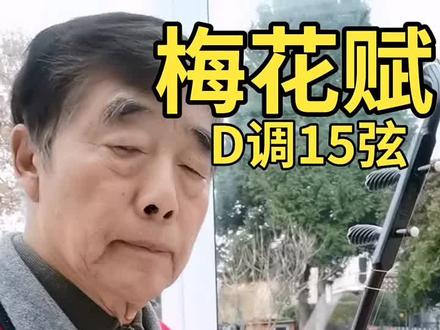 跟着大伟学二胡:梅花赋(D调15弦)(乐谱在评论栏里)