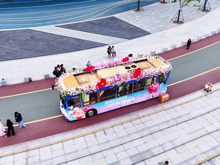 公交“簪”花入画来 洛阳的浪漫藏在春日里 #公交车 #文旅 #一路繁花向洛阳 #洛阳