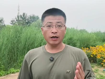 百万大军参谋长,为何只授了少将,普遍有三种说法#创作灵感