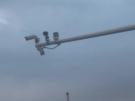 有了新线索,明天附近兄弟,有空请过来帮忙寻找一下,兄弟感激不尽🙏#大黄 #寻狗启示