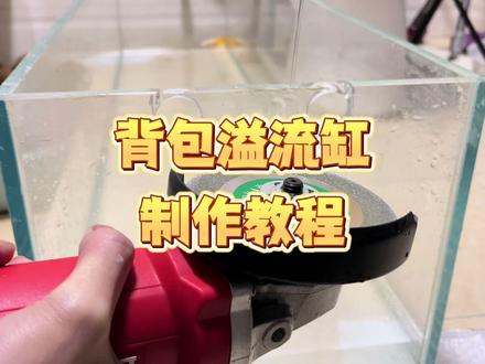 背包溢流溪流缸详细制作教程,说溢流是最好用安全的下水方式应该没人反驳吧#鱼缸制作 #鱼缸过滤 #鱼缸 #开缸 #背包溢流鱼缸