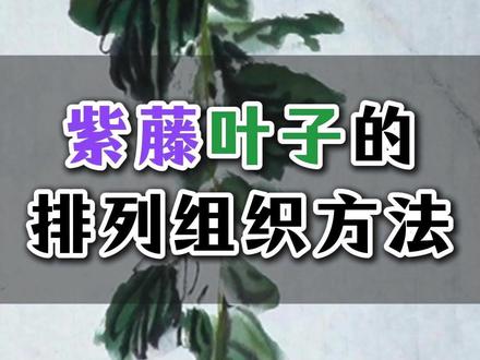 075紫藤叶子的排列组织方法 #国画花鸟 #国画入门#国画教程 #赵素芳国画 #画家赵素芳 #赵素芳大写意