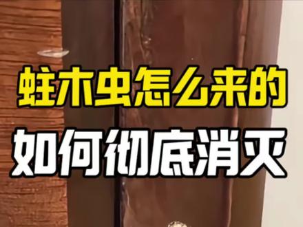 蛀木虫怎么来的,如何彻底消灭。 家中木质家具出现掉粉、孔洞现象,多是蛀木虫侵扰所致。其滋生根源在于木材加工环节的虫卵消杀缺失——未被灭杀的虫卵随家具建材进入室内,在适宜温湿度条件下孵化。幼虫以木材中的纤维素、淀粉及糖分等营养物质为食,在木质内部蛀噬生长,成熟后破木而出,形成肉眼可见的孔洞与粉末堆积。
蛀木虫虽破坏力弱于白蚁,但仍可蛀穿硬质木材表层,造成家具结构损伤,且种群繁殖速度快,一旦滋生便难以根除。推荐使用这款木质家具专用除虫药剂,其无色无味的配方,既能高效灭杀蛀木虫及虫卵,又不会对木材本身造成损伤,从根源解决虫害问题。
#蛀虫吃木头 #粉蠹虫 #天牛幼虫 #家具咯吱响 #家具虫蛀