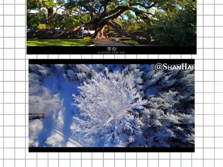 一分钟学会别辜负眼前季节卡点效果#别辜负眼前季节 #剪映 #别辜负眼前季节剪辑教程 #别辜负眼前季节卡点教程 #别辜负眼前的季节怎么剪辑 别辜负眼前季节是什么歌 别辜负眼前季节完整版 别辜负眼前季节dj 别辜负眼前季节 别辜负眼前季节该怎么剪辑 别辜负眼前季节醒狮 别辜负眼前季节原唱 别辜负眼前季节是什么歌曲 别辜负眼前季节什么歌 别辜负眼前季节是什么 别辜负眼前季节歌曲 别辜负眼前季节剪辑 别辜负眼前的季节bgm 别辜负眼前的季节 别辜负眼前的季节视频剪辑 别辜负眼前季节 别辜负眼前季节是什么歌 别辜负眼前的季节怎么剪辑 别辜负眼前季节卡点视频 别辜负眼前的季节dj