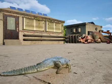 8月27号(上)鳄鱼岛大猎杀