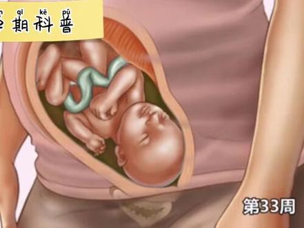 胎儿1-40周发育过程,生命太神奇了#孕期