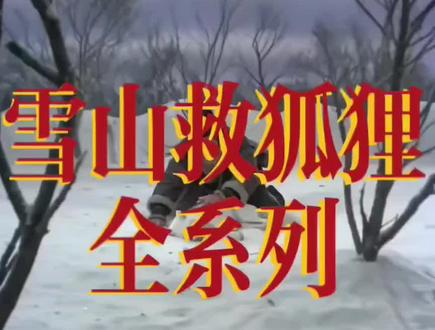 #雪山救狐给大家找齐了#一般人不告诉他 #野外生存 #用抖音记录人生 #邵氏电影 #我的写真尝试不同风格