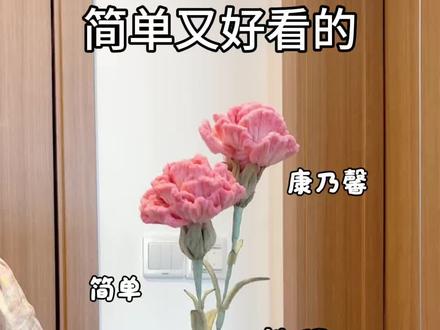 用扭扭棒做,简单又好看的,康乃馨,教程嘎嘎简单,快给爱你的母亲做一束吧#抖音宝藏生活家 #手工人的奇思妙想 #真实生活分享计划 #康乃馨 #母亲节