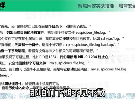 《十天速通Kali》第三天:十个高频命令,解决90%操作! #计算机 #Linux #linux基础 #网络安全 #编程