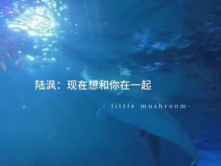 安折:我什么都不会 陆沨:我会 我带你去找 陆沨:现在想和你在一起💍
自从蘑菇沉睡三年醒了后上校就不自觉的说情话~好甜好甜!破亿快乐呀!#小蘑菇 #小蘑菇广播剧破亿 #猫耳FM #安折 #陆沨