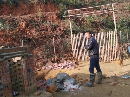 小邓花300元进山挖鱼池,打算在这养殖甲鱼,这么大的鱼池不知道能养多少只甲鱼 #农村生活 #鱼池 #甲鱼养殖
