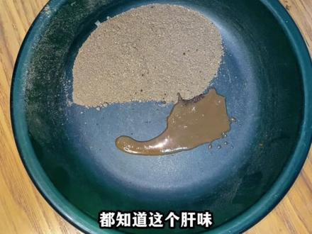鸭饲料钓大罗非配方分享,主攻水库巨非 #钓鱼
