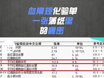 最便宜的血常规很多人检查完却看不懂!#涨知识 #科普 #干货 #健康科普 #体检