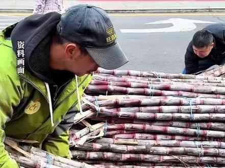 大哥在美国街头卖紫皮甘蔗,9美元一根包削包砍!