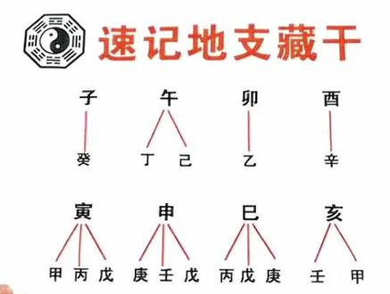 速记地支藏干
#国学文化 #易学智慧 #道家文化