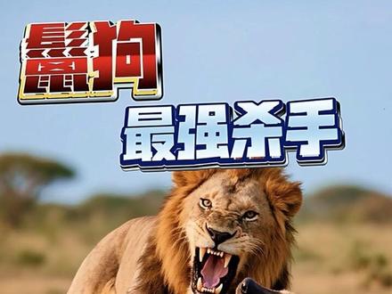 世界十大最凶猛的鬣狗杀手 #神奇动物在抖音 #野生动物 #万物有灵 #鬣狗