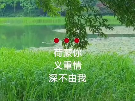 #潮剧唱段 破镜重圆人团圆
#好听分享 🎧