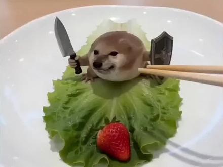 刀盾狗这菜怎么吃ai特效教程 一键免费制作入口 #我的刀盾#我的小狗刀盾大军来了#AI我的刀盾#我的刀盾狗#这菜怎么吃