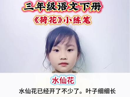 三年级语文下册 第一单元第三课《荷花》小练笔#小学语文 #语文学习 #我的语文学习经验分享