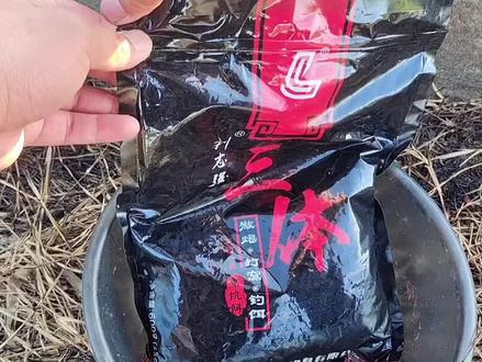 刘志强三体饵料水下测试,据说对鲤鱼有奇效? #钓鱼 #钓鱼人 #饵料测评 #饵料测试 #饵料窝料