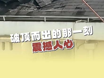 浓烟滚滚中,消防员破顶而出。网友:这一刻,他就是超级英雄!致敬!