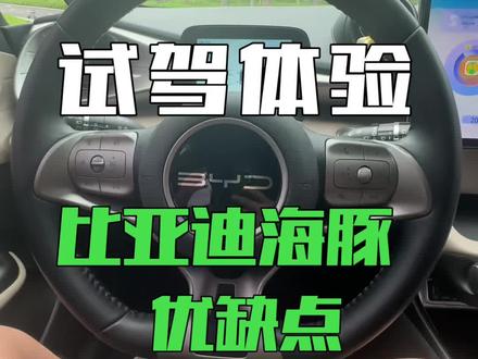 试驾比亚迪海豚后,分享这台车的优点与缺点 #比亚迪海豚