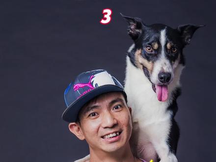 狗狗晚上眼睛发光是怎么回事#狗#萌宠 @抖音小助手