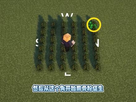 我的世界:简单好看的云杉树屋,直接掏空整个树干 #我的世界