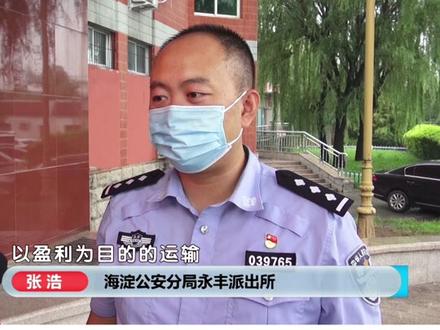 购买摆件被刑拘 一不留神触刑罚 #北京dou知道