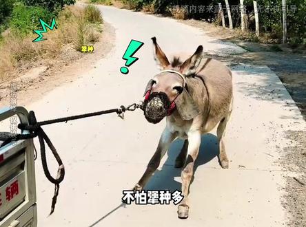 没想到人要是犟起来,是根本拦不住 #盘腿抱柱子 #犟种 #抽象 #万万没想到 #离谱