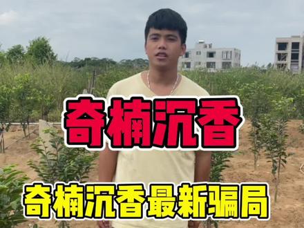 北方的香友们千万不要被上当受骗了,有地的地方都能种植,但是种不活的。#奇楠沉香 #抖音助农 #三农