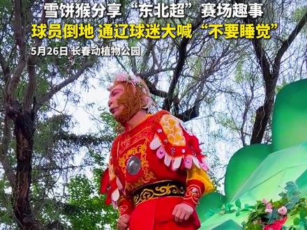 雪饼猴分享“东北超”赛场趣事,球员倒地通辽球迷大喊“不要睡觉” #吉林文旅 #东北超吉燃 #东北超 #吉林上刺刀决战东北超