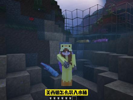 #我的世界mc 美西螈怎么装入水桶#我的世界小技巧