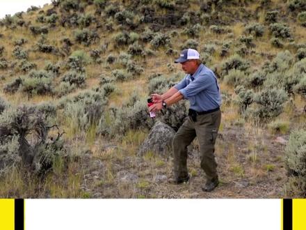 饲养员被熊群撕咬,最后只剩下一块骨头,我们遇到熊应该怎么办? #熊 #棕熊 #动物