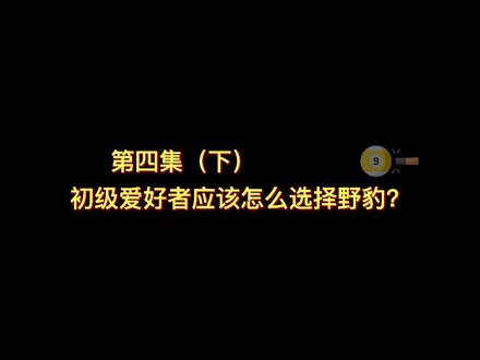 初级爱好者应该怎么选择野豹?(下)#台球杆 #郑宇伯球杆 #台球器材