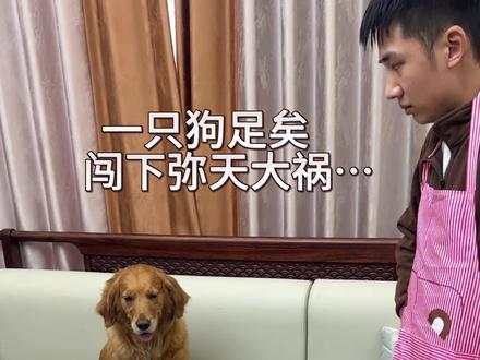 一只狗闯下的弥天大祸…@抖音小助手 #萌宠出道计划 #万万想不到