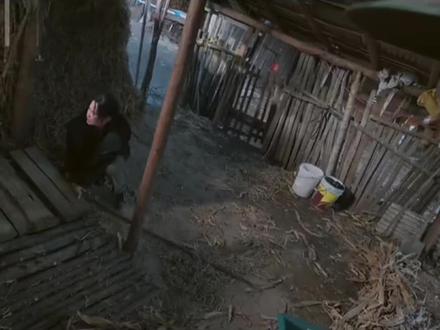 《隐身的名字》你是懂怎么刀人的!董洁饰演的文毓秀的人生轨迹一直在被推着走,为了家人匆匆结婚。一直拯救自己的路上,眼看就要摆脱枷锁开启新生了。却在最后一刻被丈夫当街掳走,被关进地窖整整17年!只有她一个人守着阴暗的角落,在这黑暗里,她会想什么呢?是在讲台上闪闪发光发光的自己,想到她和真正周芸那转瞬即逝的心愿,还是在希望闺蜜可以找到自己。还好她终于等到了任美艳,看到任美艳砍向地窖的时候真的忍不住了。她从来没有忘记过文毓秀,一直希望找到她。这一次朋友间的双向奔赴终于具象化了,没有错过。真正的友情就是,即使17年过去了我依旧可以感受到你的存在。太好哭了,终于找到了文毓秀! #董洁新剧被拐深山真相大白 #隐身的名字闫妮 #上热门 #上推荐 #抖音热门小助手 @DOU+上热门 @抖音作者助手 @抖音热点 @会火 @抖音小助手