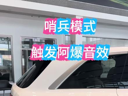 完蛋了,触发了乐道L90哨兵模式的阿爆音效!#阿爆 #哨兵模式#开车第一视角 #dou是好车 #用车分享