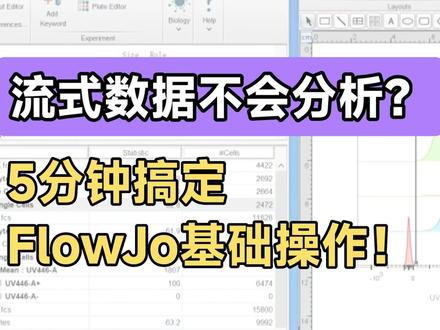 ✨【FlowJo流式数据处理教程 | 新手友好版】✨ 大家好,今天跟大家分享一下 如何用FlowJo软件处理流式数据,超详细步骤来啦!
不论你是科研小白,还是第一次用流式的小伙伴,这篇都适合收藏!📚
🌈 基本操作流程:
1️⃣ 打开FlowJo,导入待处理的流式数据拖拽进软件。
2️⃣ 点击空白组数据,调整横轴FSC-A,纵轴SSC-A,圈选活细胞。
3️⃣ 点击“小图T”,调整细胞群体位置,横纵轴调整,圈住主细胞群,过滤掉碎片和死细胞~
4️⃣ 接着,调整FSC-W和FSC-H,圈选单细胞,双击确认。
5️⃣ 再来SSC-W和SSC-H,最终筛选单细胞群,双击确认搞定!
🌟 荧光强度分析:
• 调整横轴,选择需要的滤光片(比如446nm),调整为直方图!
• 对空白组设置阴性对照,点击“数据分析”,选择mean,获取荧光强度均值~
🎯 批处理Tips:
为了保证所有样品分析一致,可以把空白组的所有步骤拖拽到样品,批量处理!
🔑 记得手动调整一下圈的位置,确保主细胞群都在圈内哦!
🌸 数据展示:
• 单细胞数据拖到lay out中,检查分布情况,微调坐标~
• 图像调节:点击smooth和model快捷键,微调平滑;颜色淡灰色,整体更美观!
• 最后点击导出按钮,选择tiff格式,高清图get!
💡 数据导出:
需要导出荧光均值?table editor帮你搞定,选择导出参数,输出表格,方便汇总分析~
🧬 总结:
以上就是FlowJo流式数据处理的全流程,适合刚入门的科研党朋友!
有问题欢迎评论区讨论,一起进步呀💪~
#流式细胞术 #FlowJo #实验小技巧 #科研日常 #流式数据处理