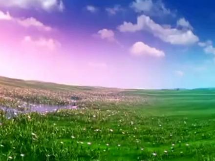 最酷八步健身操《美了美了》简单八步,老少皆宜,正背面教学